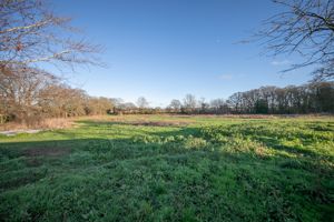 GUTTERIDGE HALL LANE- click for photo gallery